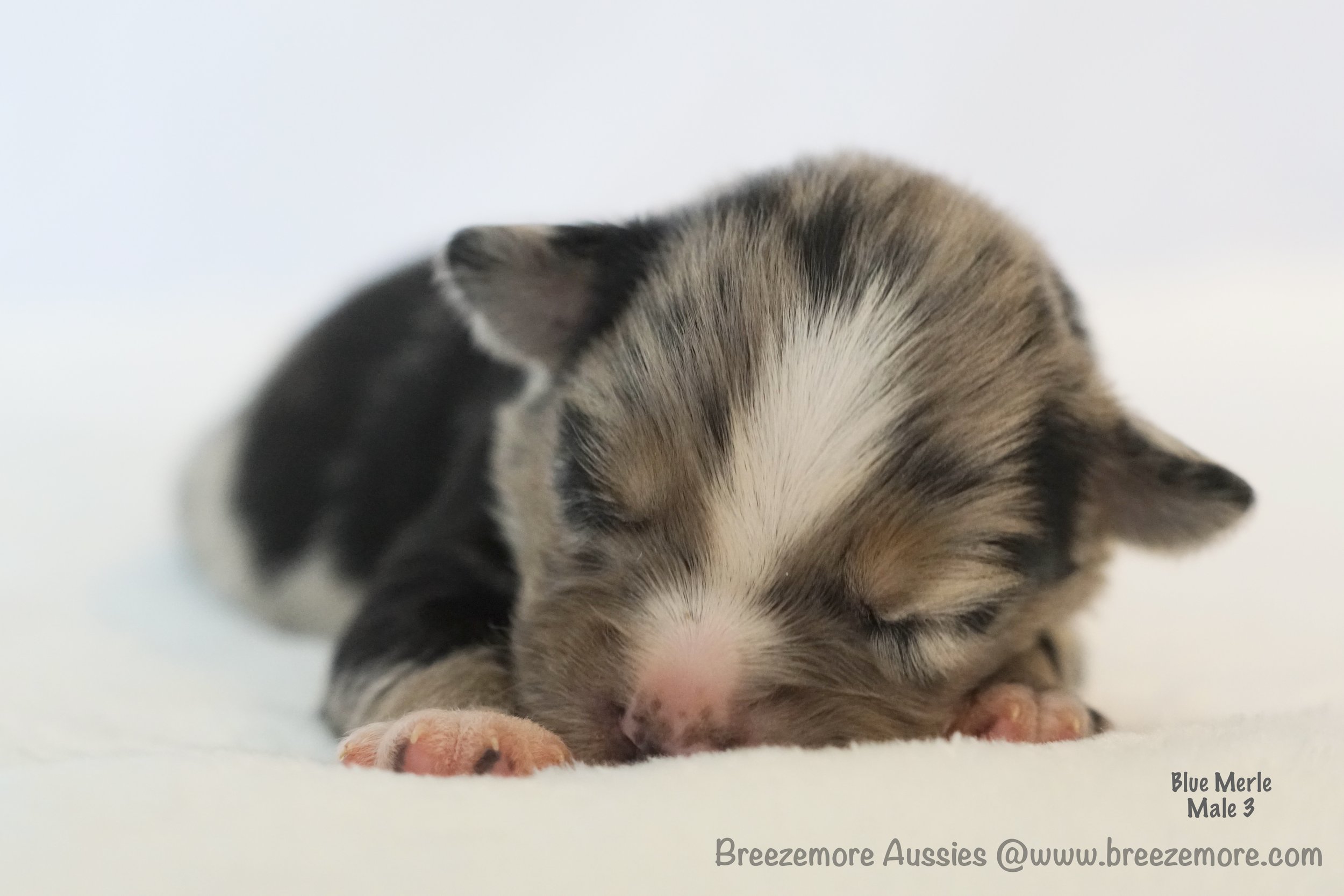 DSC08168 6 Edited.jpg