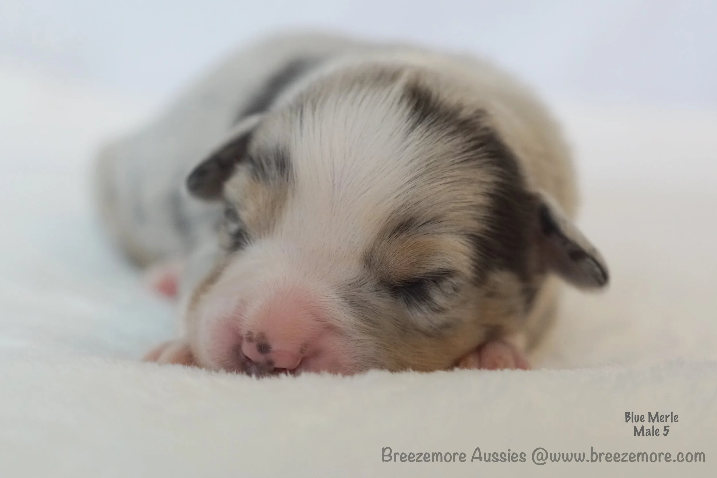 DSC08171 7 Edited.jpg