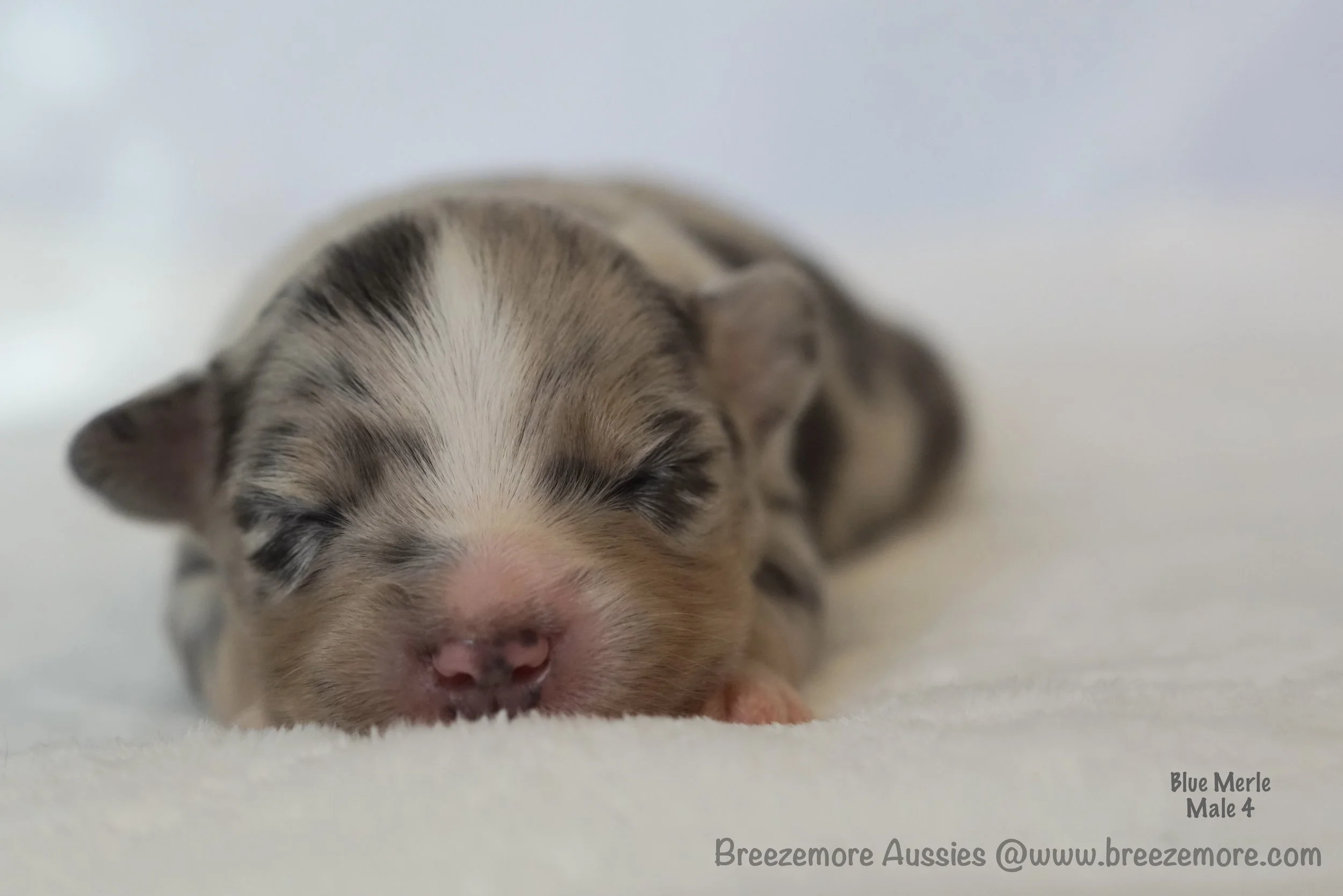 DSC08176 8 Edited.jpg