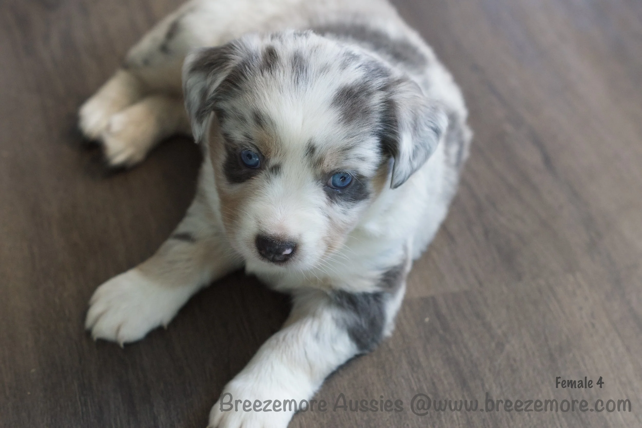 DSC09898 26 Edited.jpg
