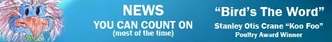news2.jpg