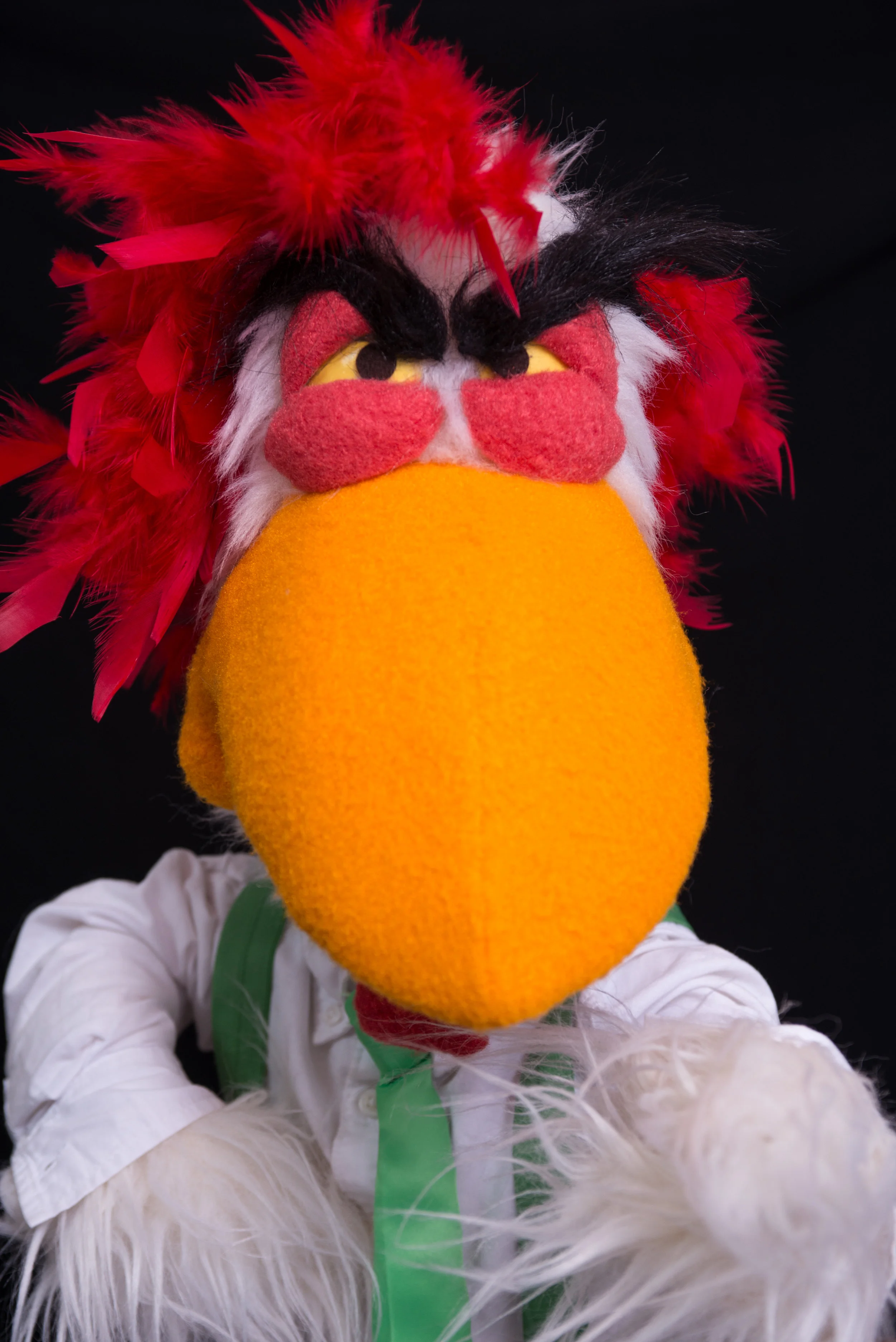 Mr. Chicker
