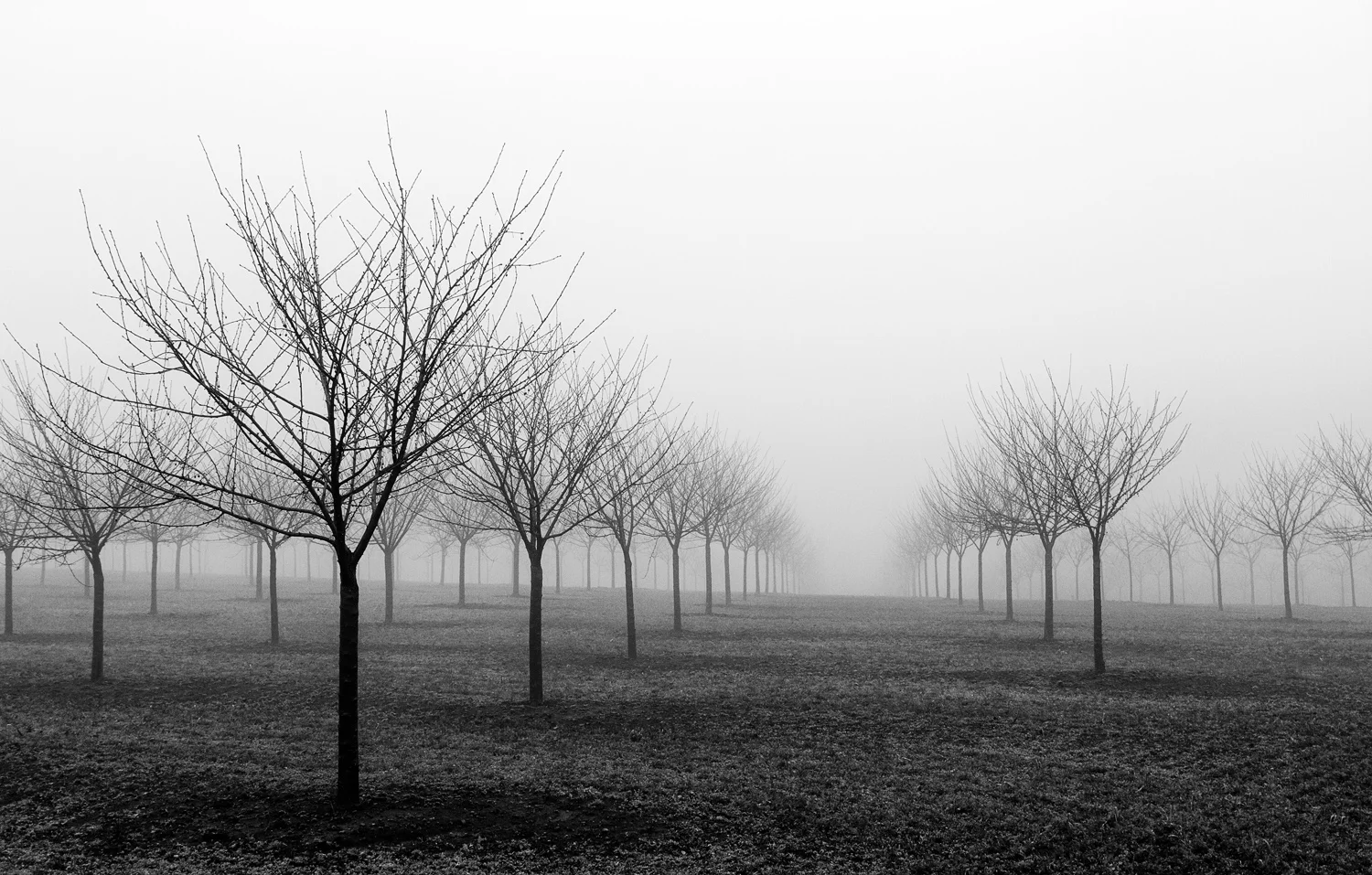 FarmField-Web-002.jpg
