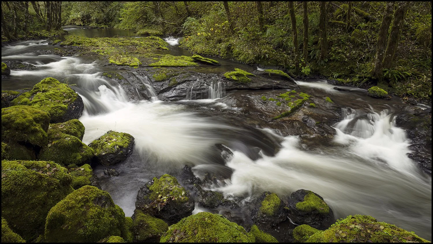GoWithTheFlow-000-WEB.jpg