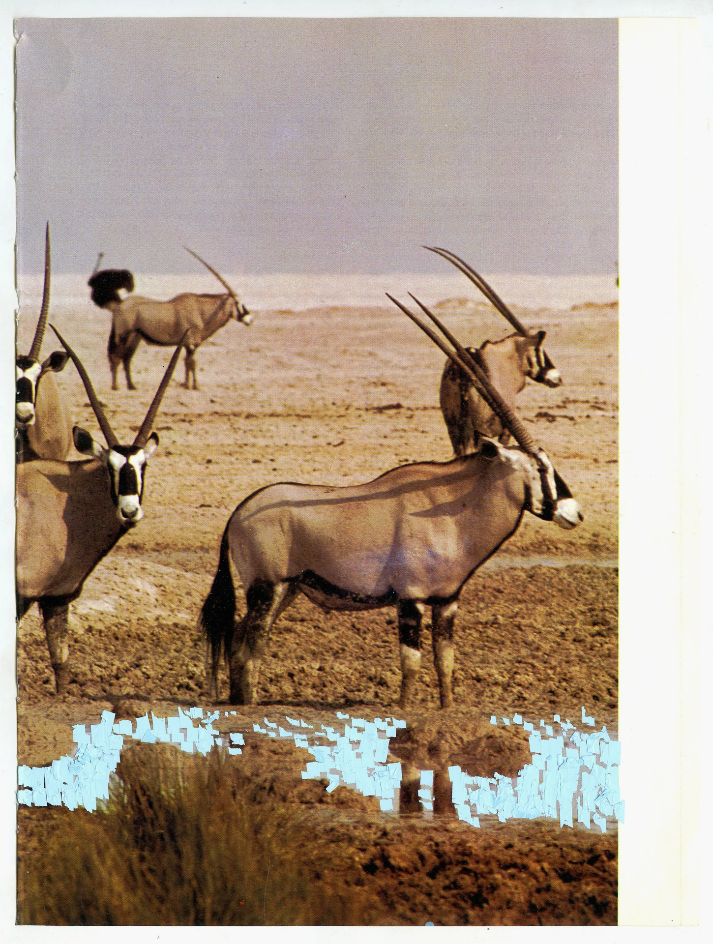 Africa_01.jpg