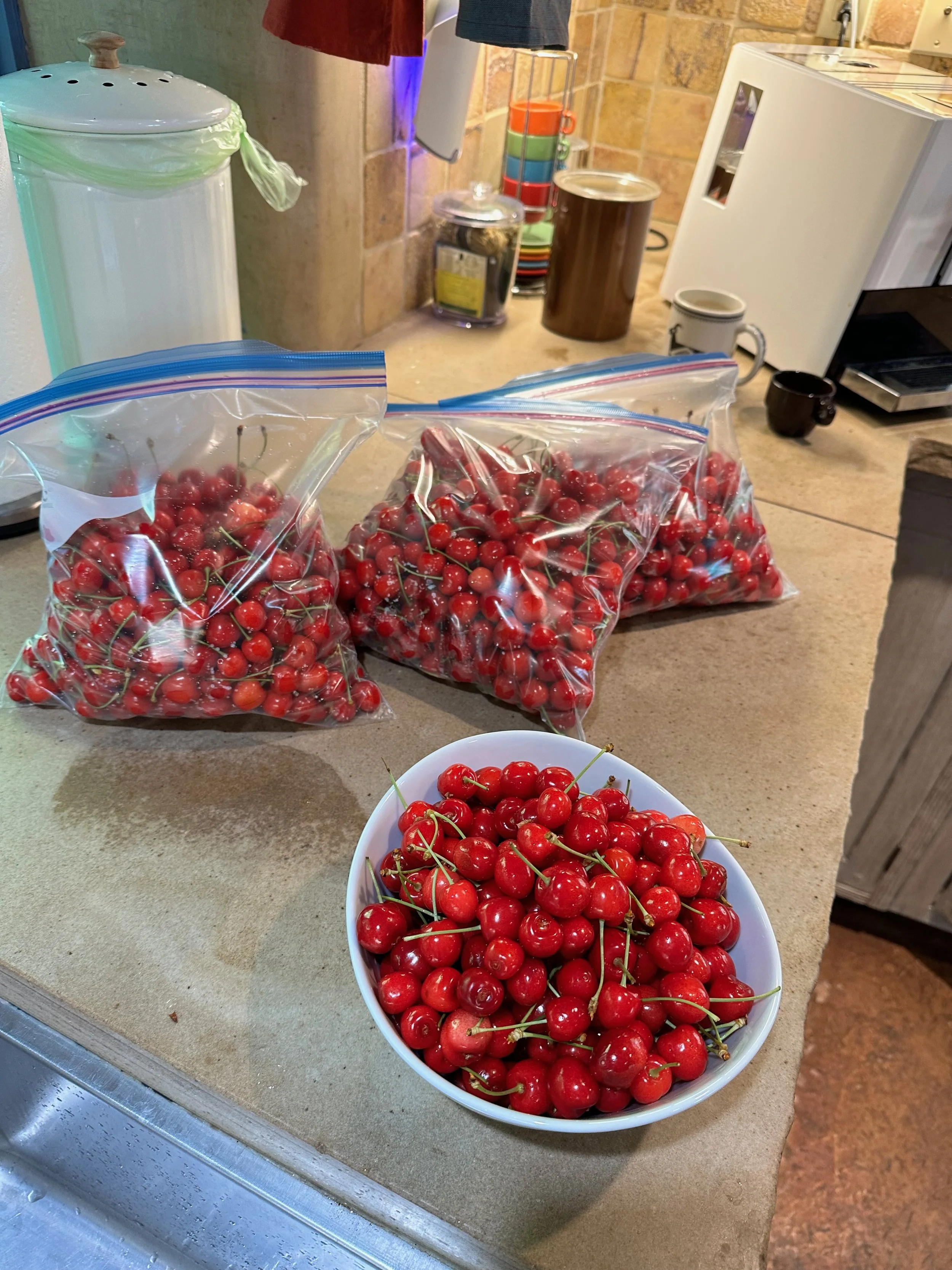 IMG_3057.jpeg