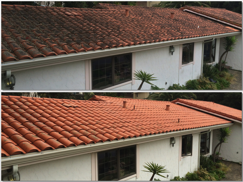 Prunedale Tile 2.jpg