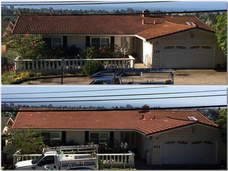 Tile Roof Clean SC.jpg