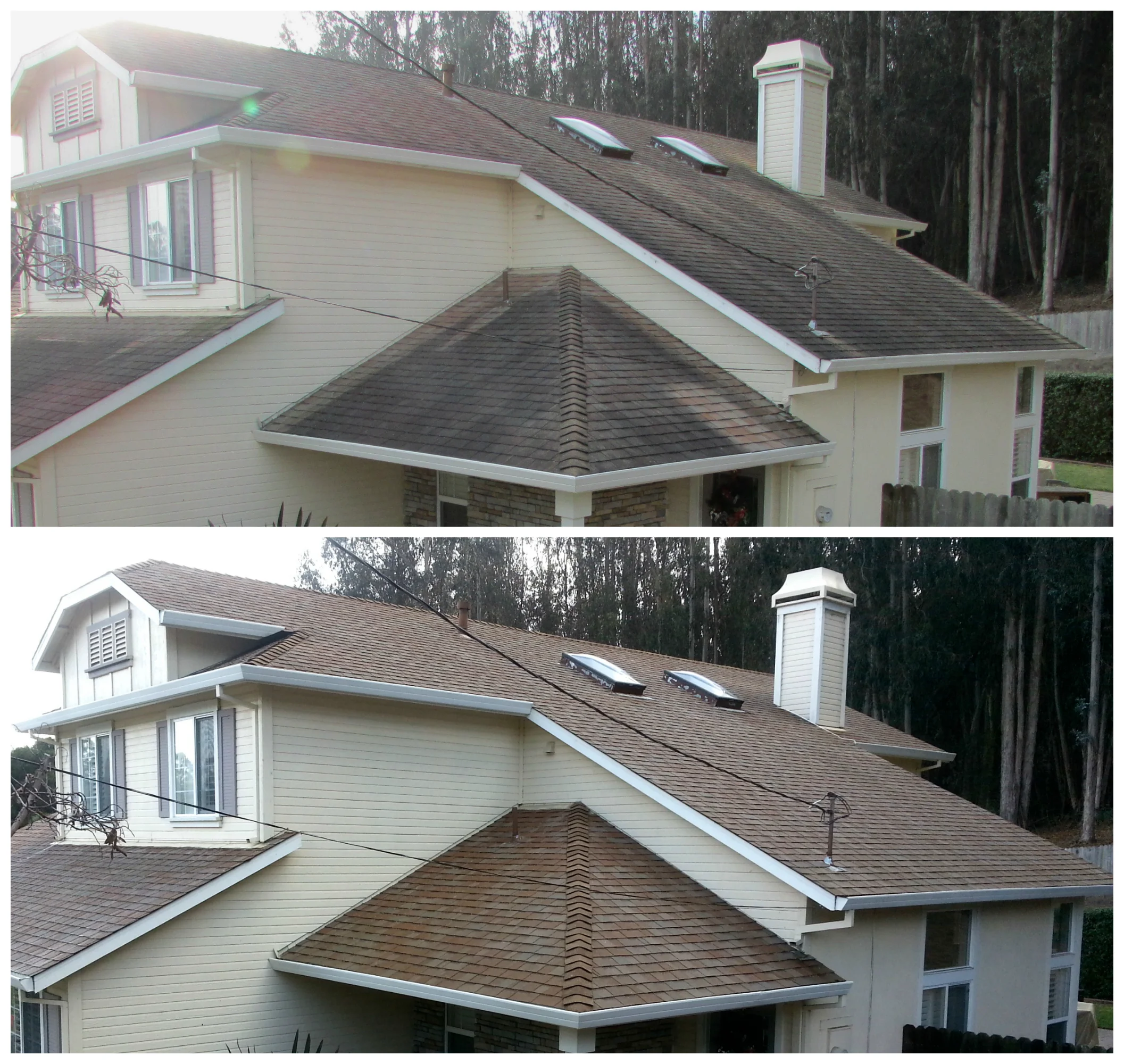 Asphalt Shingle Cleaning.jpg