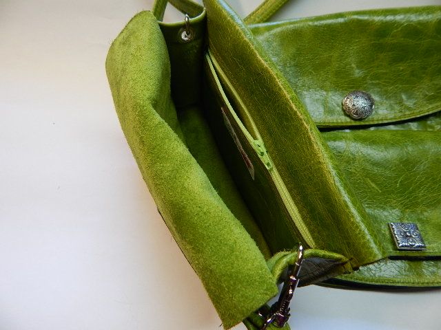 Kiwi2.jpg