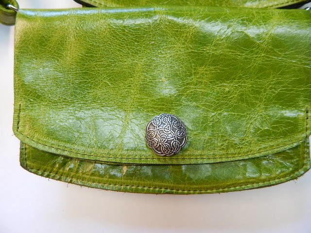 Kiwi5.jpg