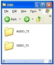 A properly burned DVD will have these folders in it. This folder structure is universal for all DVD players, even the most basic.
