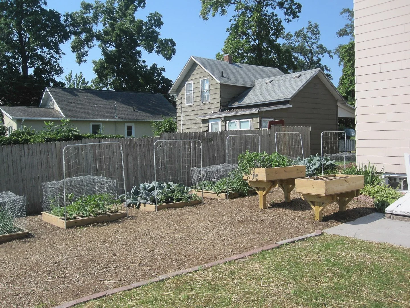 GARDEN 6-27-2012.jpg