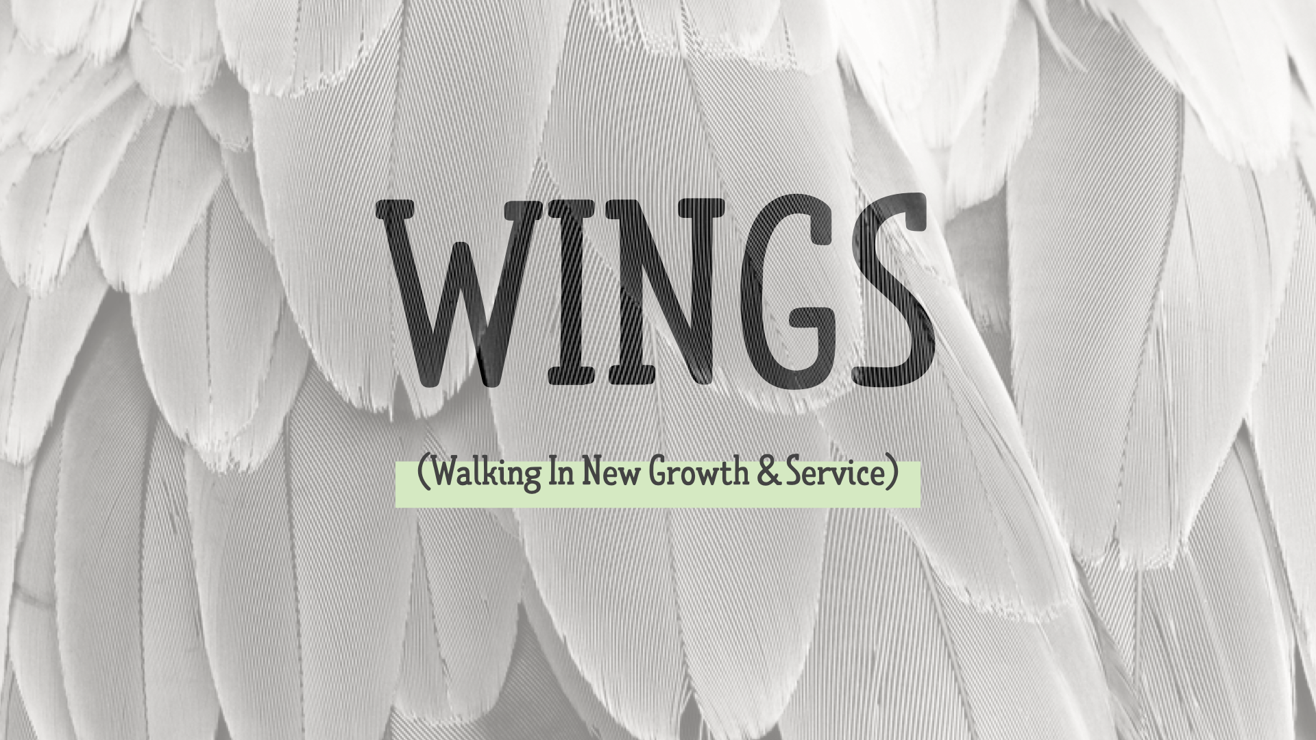 WINGS High School Group