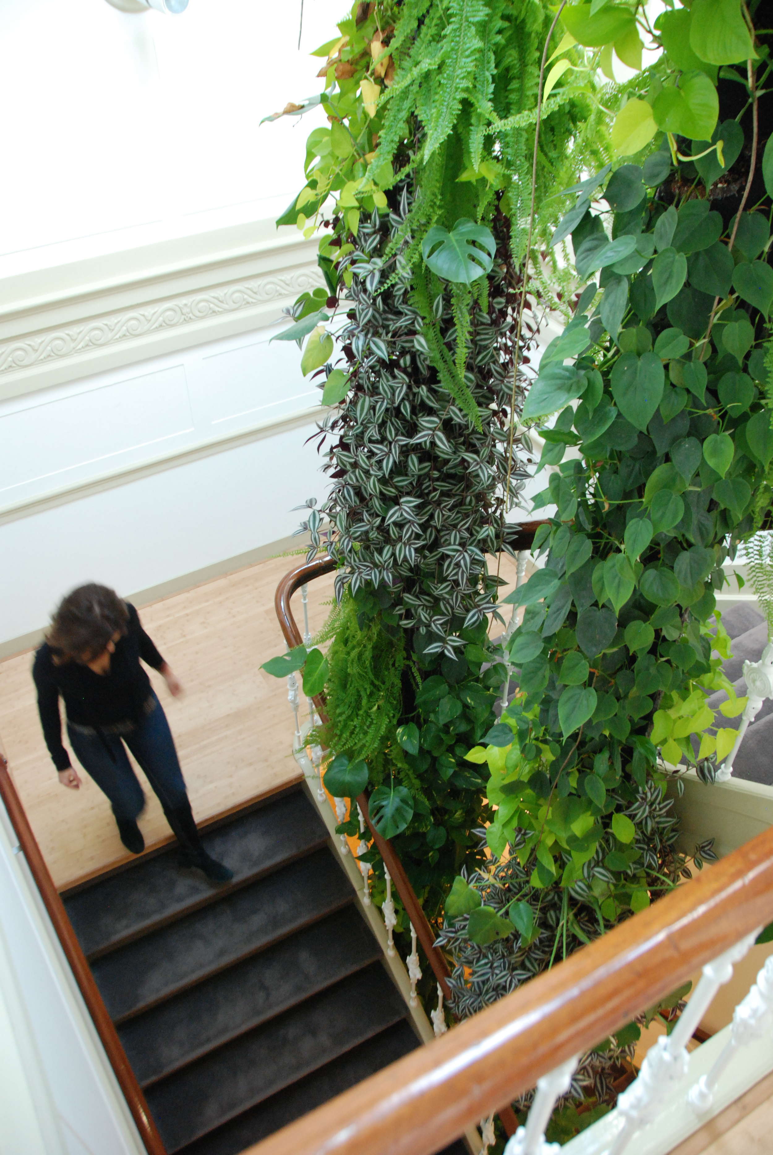 02_stairs2.JPG