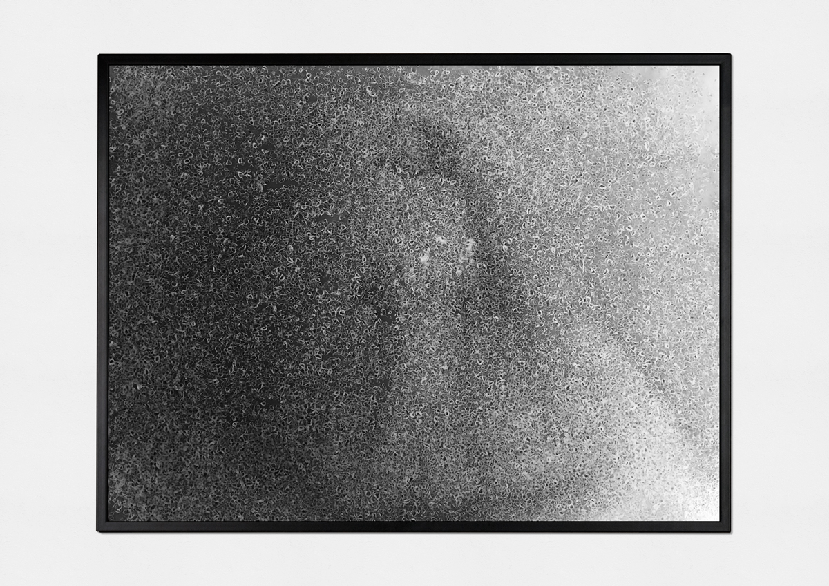 fourth sighting (2015) ( photo print on fiber paper, 30cm X 40cm)