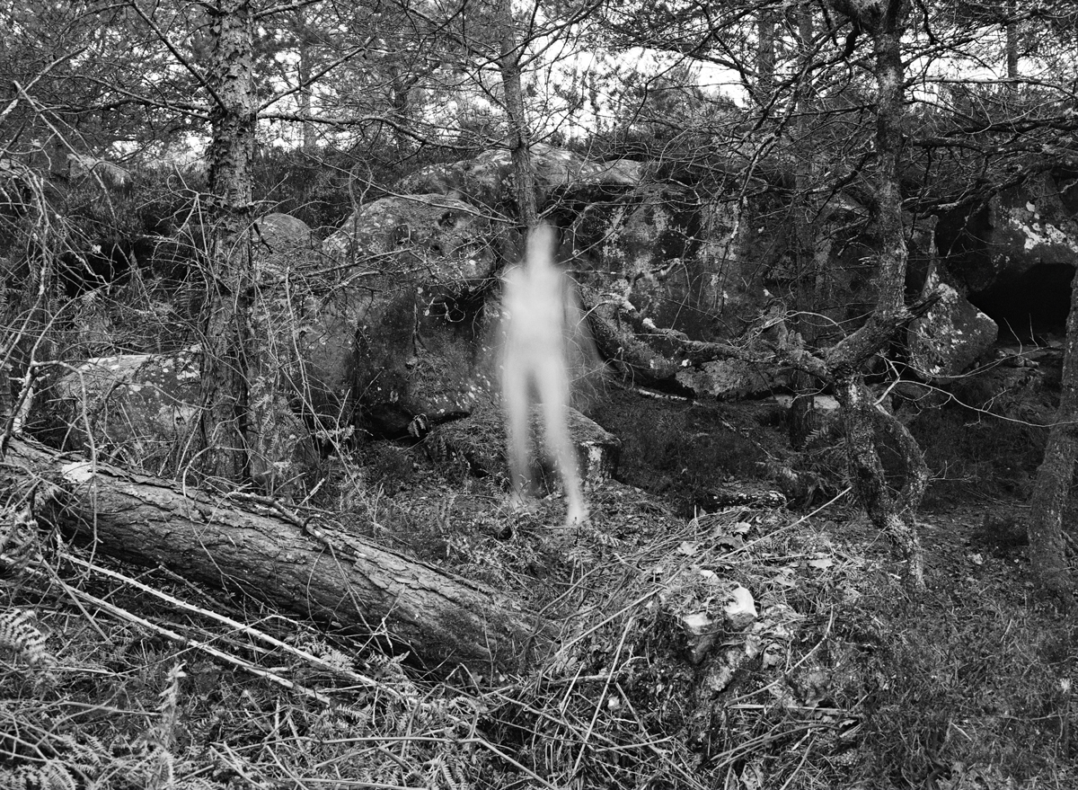 sixth sighting (2015)