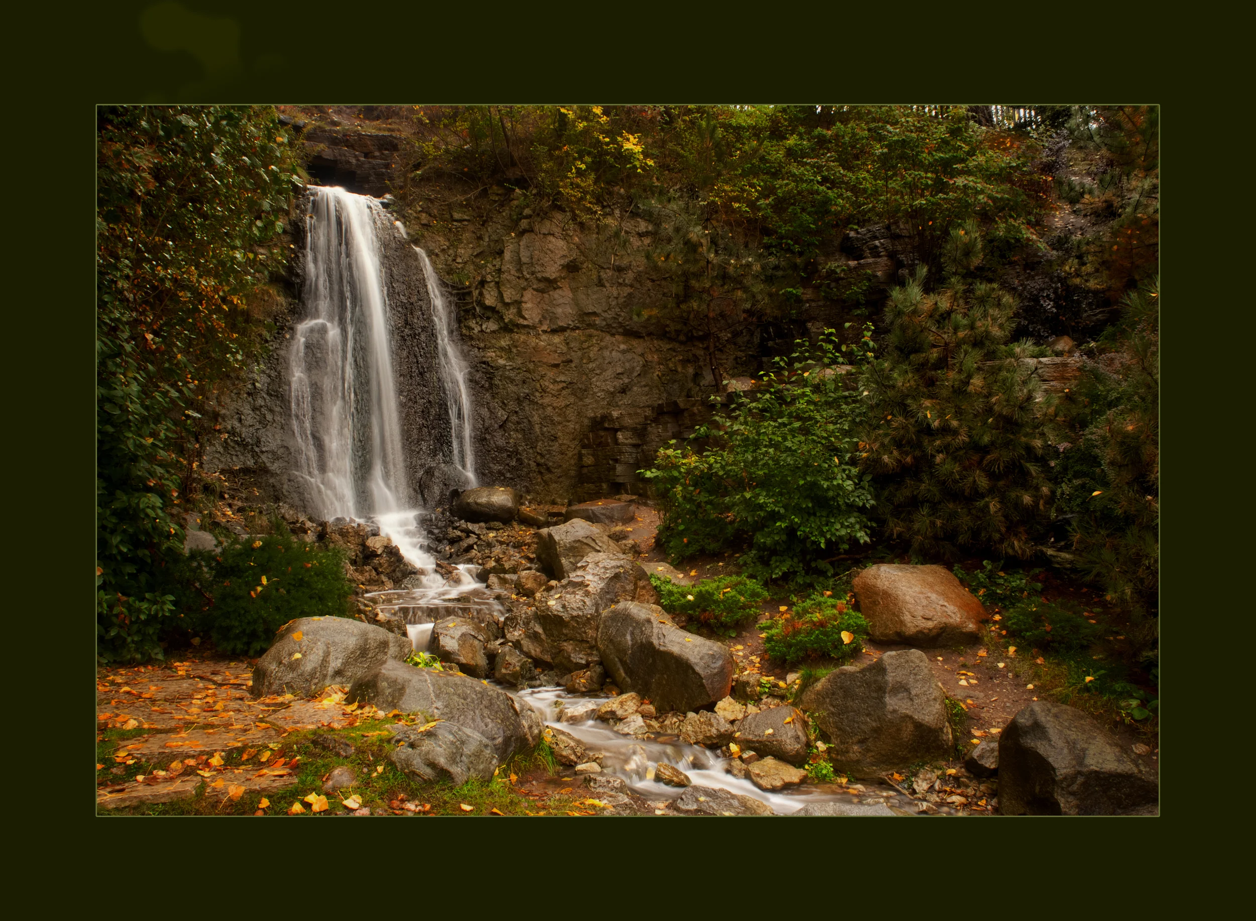 DSCF0217.jpg