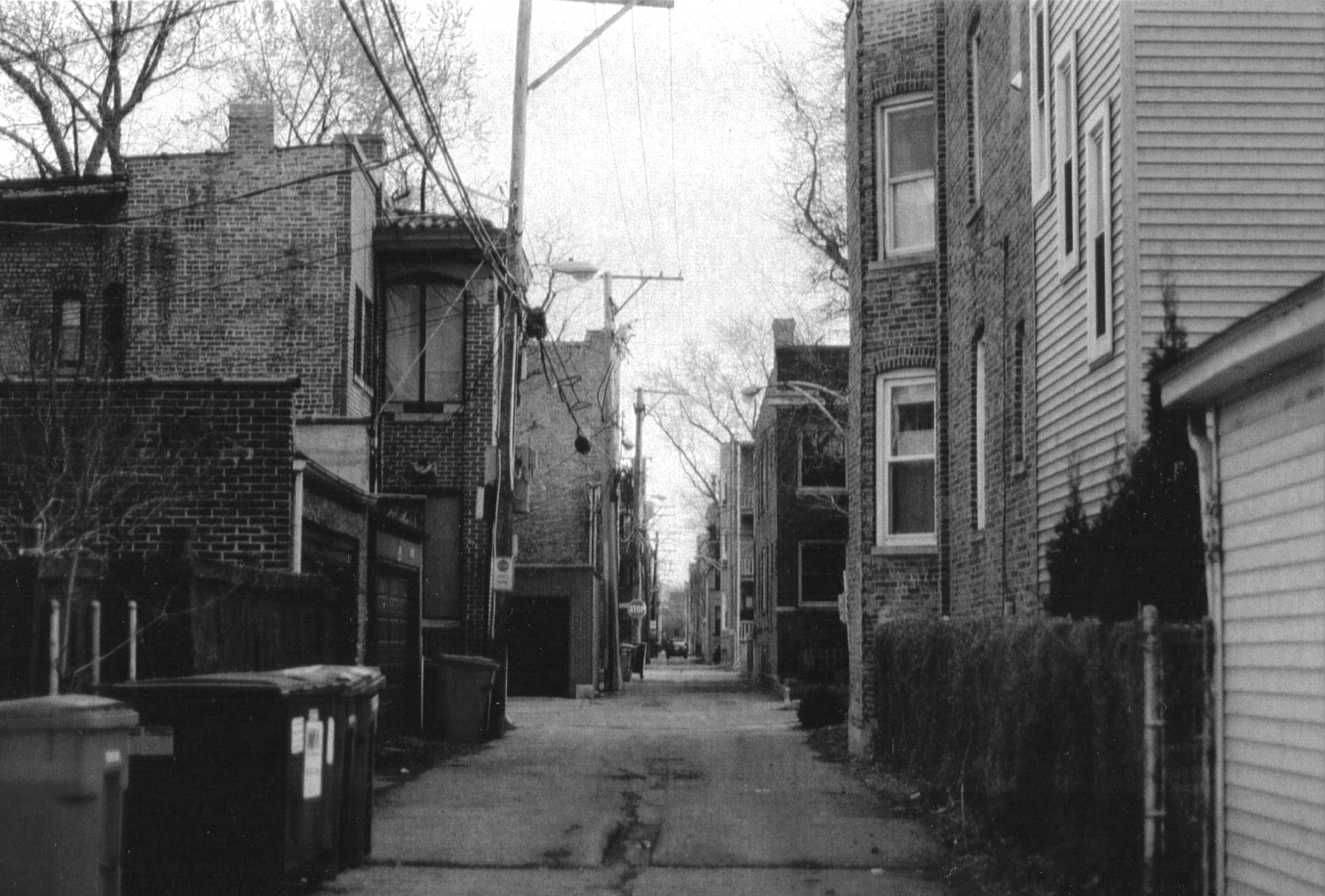 An equally dense, but less animated American neighborhood, photograph by Alisa Avigan.