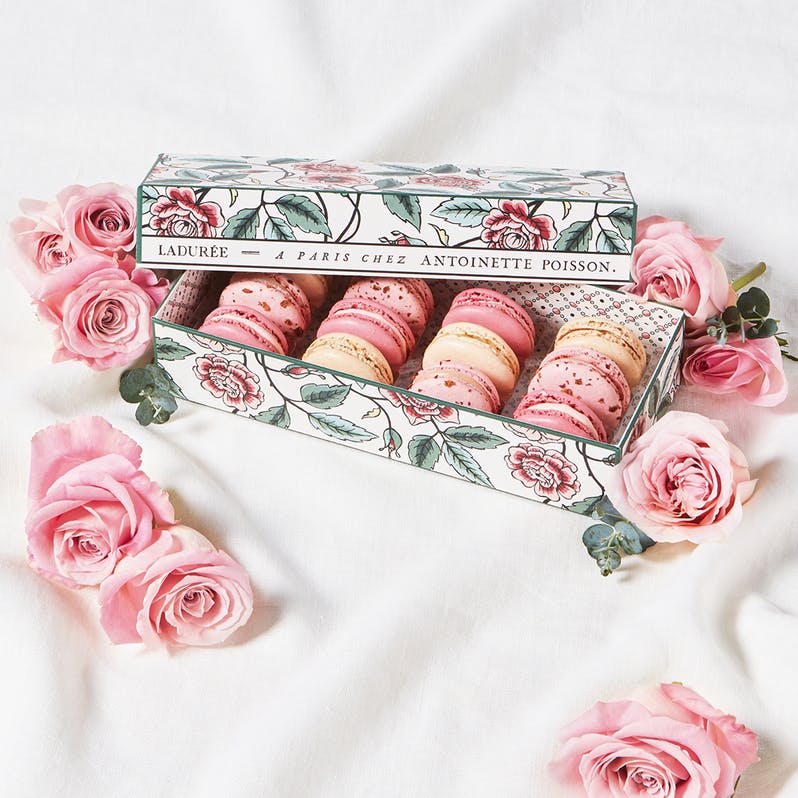 antoinette-poisson-macarons-box-of-12.61dfb3fc6f6cdd079df976246e048cfc.jpg