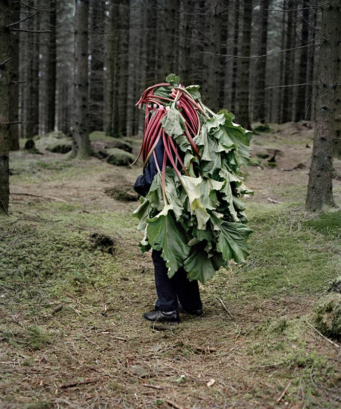 Norway / Astrid