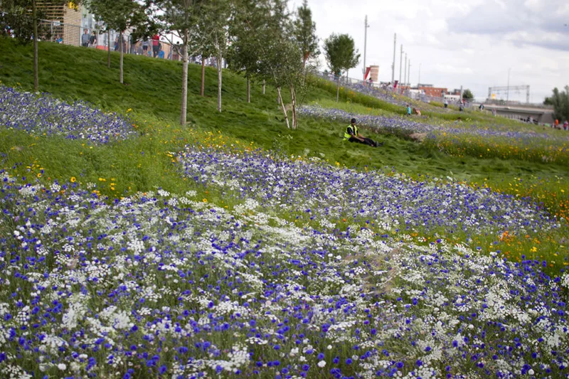 A collection of landscape interventions and community engagement events commissioned for the London 2012 Olympic Park. Developed as a team with The Klassnik Corporation and We Made That for the Olympic Delivery Authority the Fantasticology projects aim to integrate art and culture as a core element of the London 2012 site. The proposals have been developed in close collaboration with the Olympic Delivery Authority’s Arts and Cultural Strategy, Landscape and Public Realm teams.