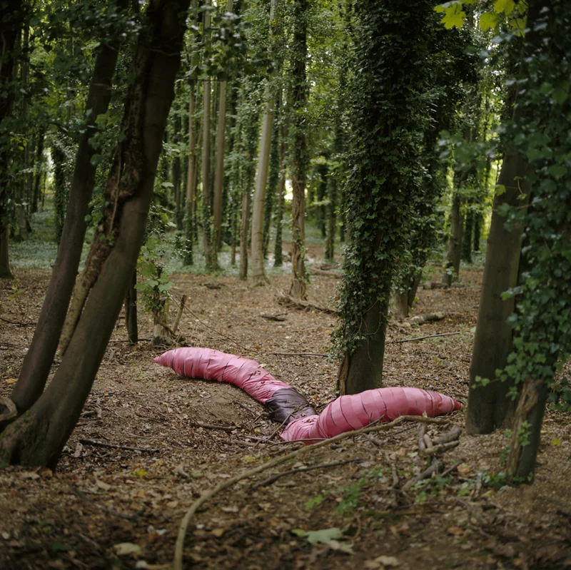 Earthworm from the series 'A sentimental yearning'