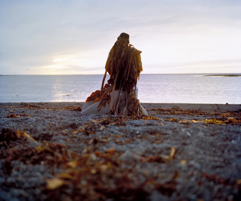 Iceland / Berent