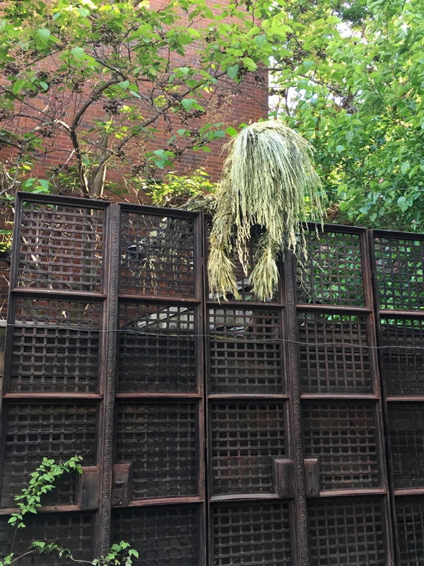 Summer Night Wishes opens on May 31 at the beautiful Elizabeth Street Garden from 5-8pm. The group show is curated by Marie-Salomé Peyronnel with works by Pétrel-Roumagnac, Andrew Erdos, Riitta Ikonen, Takao Shiraishi, Gustavo Prado, Ugo Schildge and Fabrizio Moretti. The exhibition is open until June 13, weekdays from 12-6pm and in the weekends from 10-6pm. 