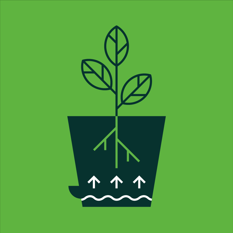 gille-ISO-selfWatering.png