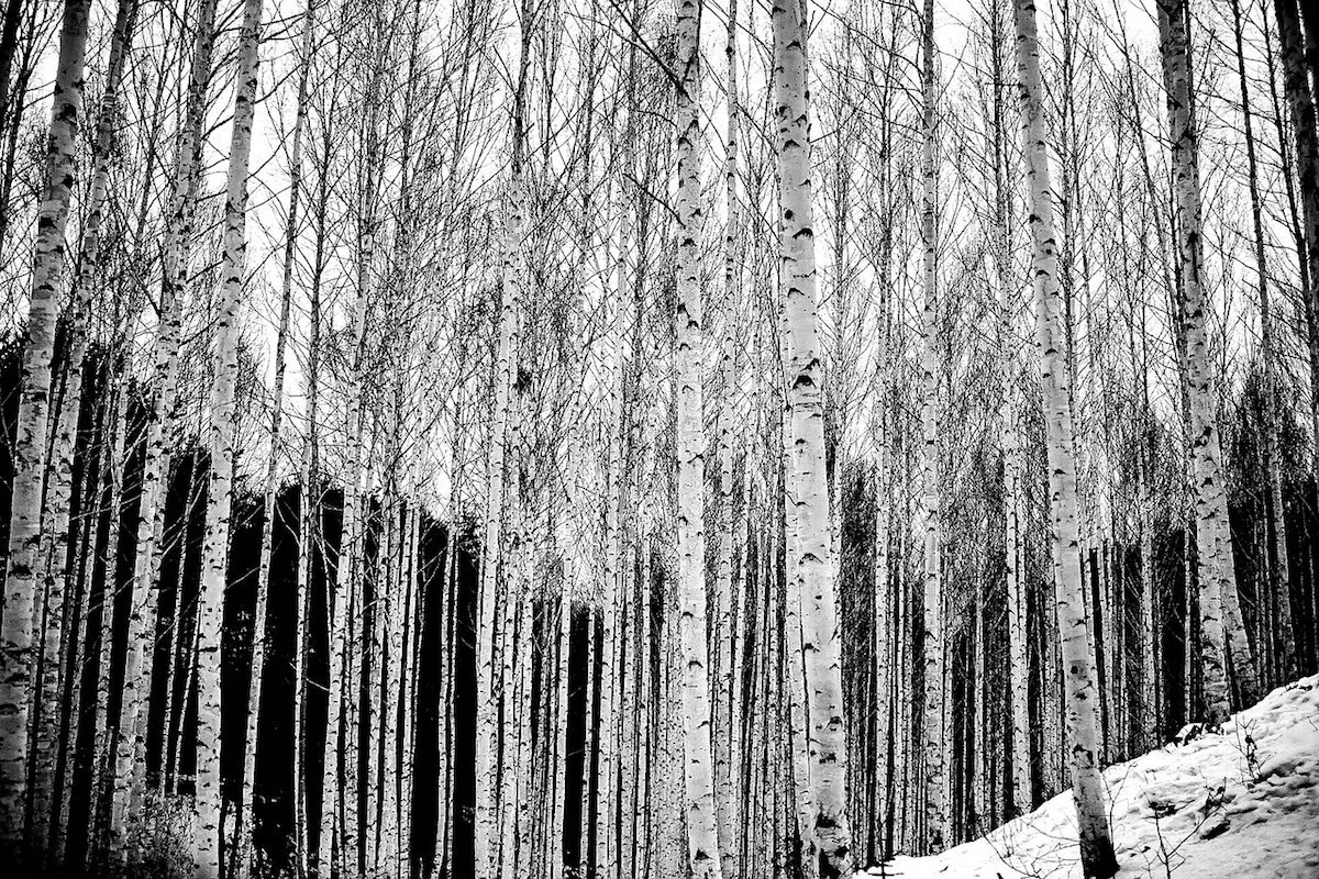 How contrast improves your life