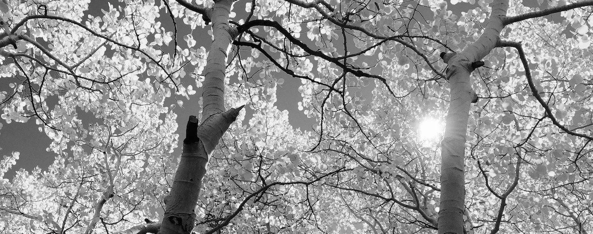 The power of relearning fundamental patterns