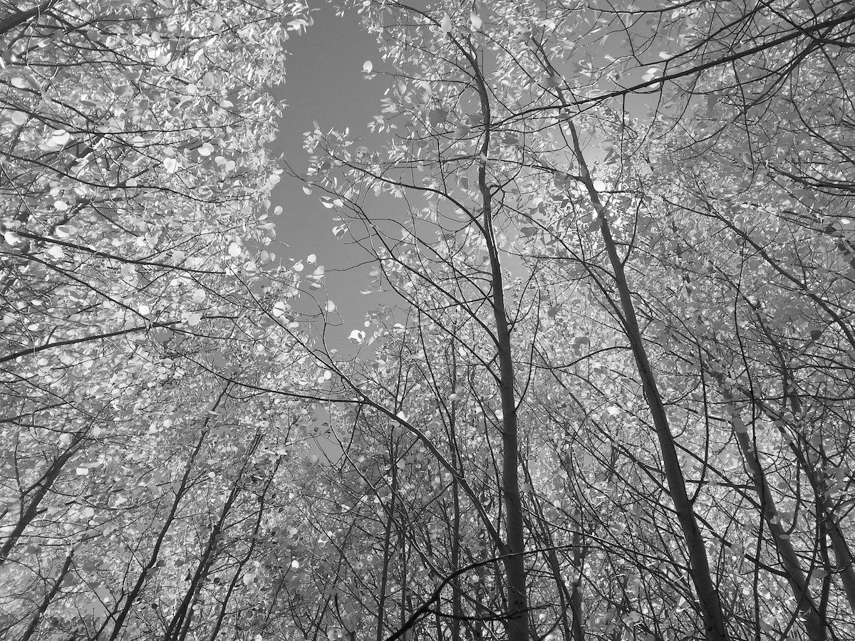 Side bend to a flexible spine