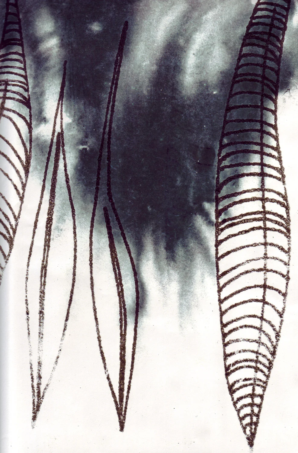 Lined Leaves