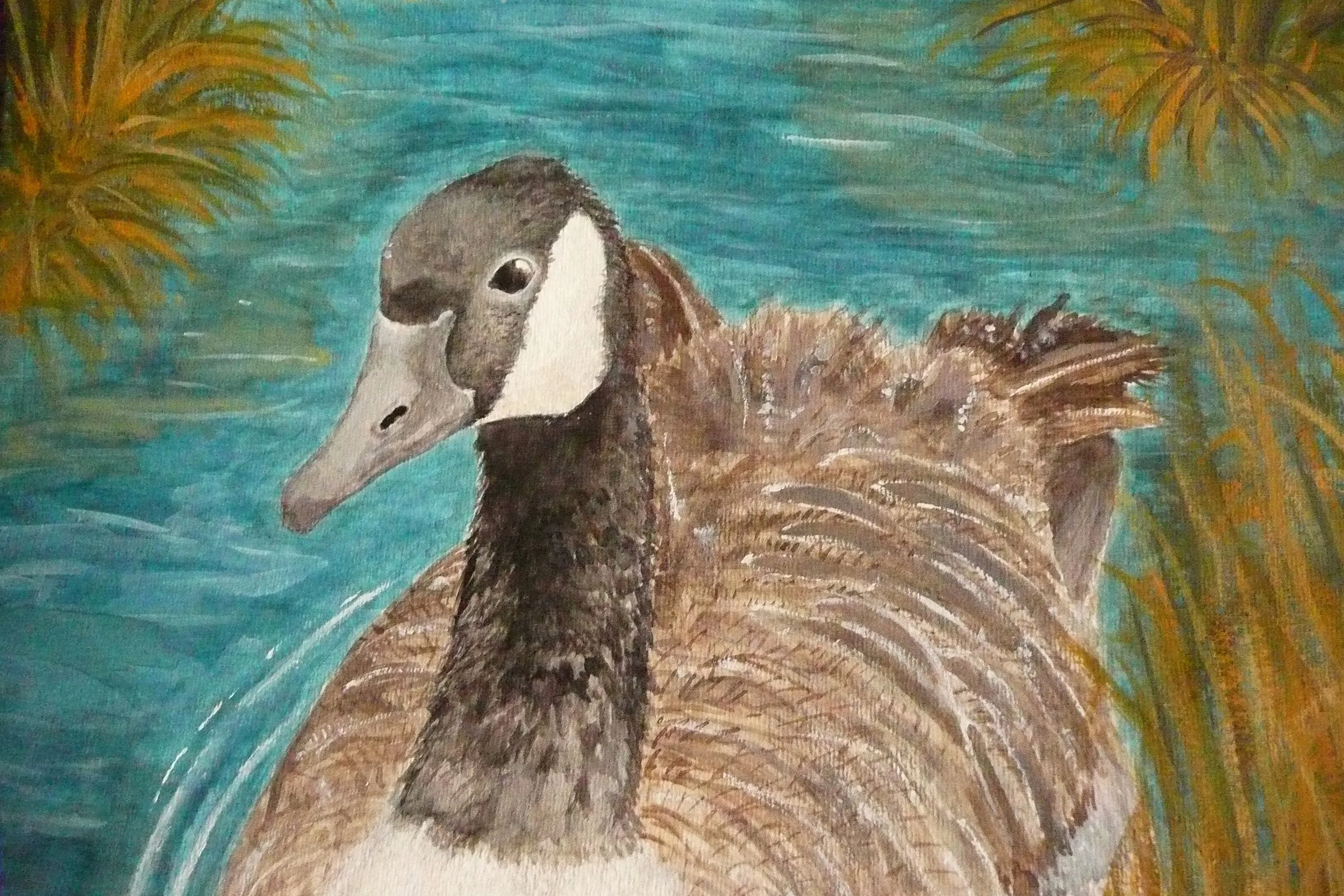 Canada Goose.jpg