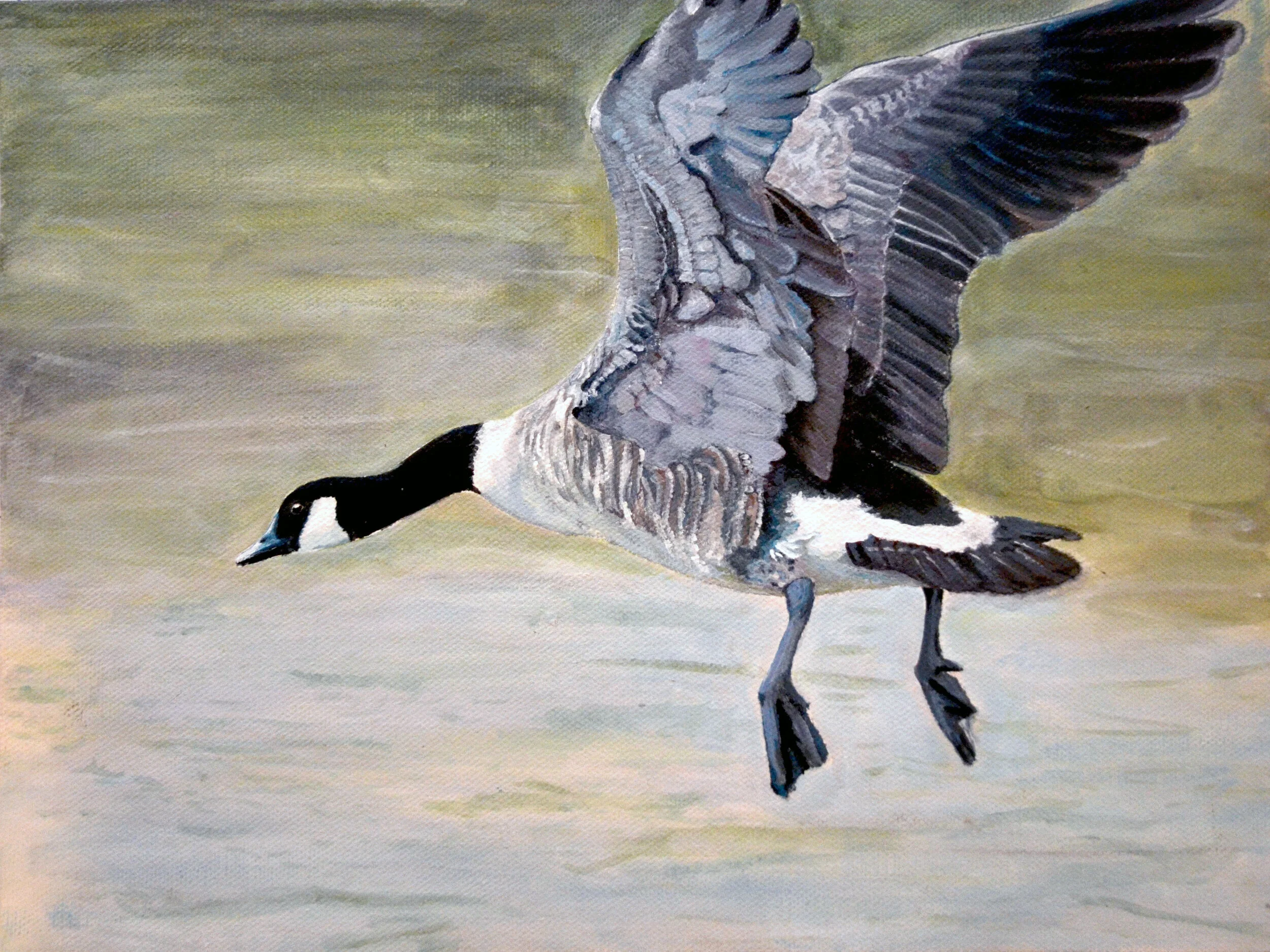 Soaring, Duck Stamp 2011.jpg