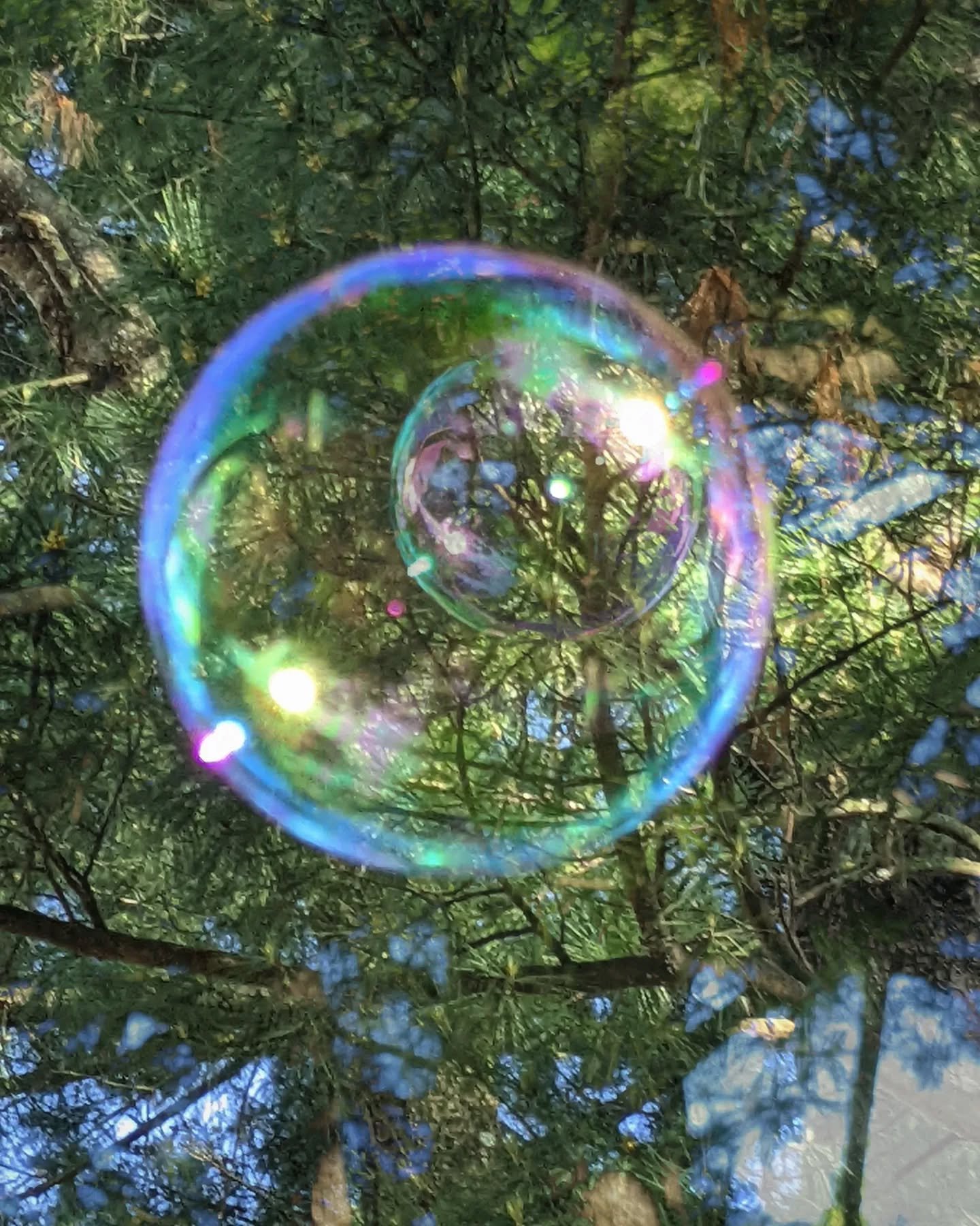 📷 bubble within a bubble theory