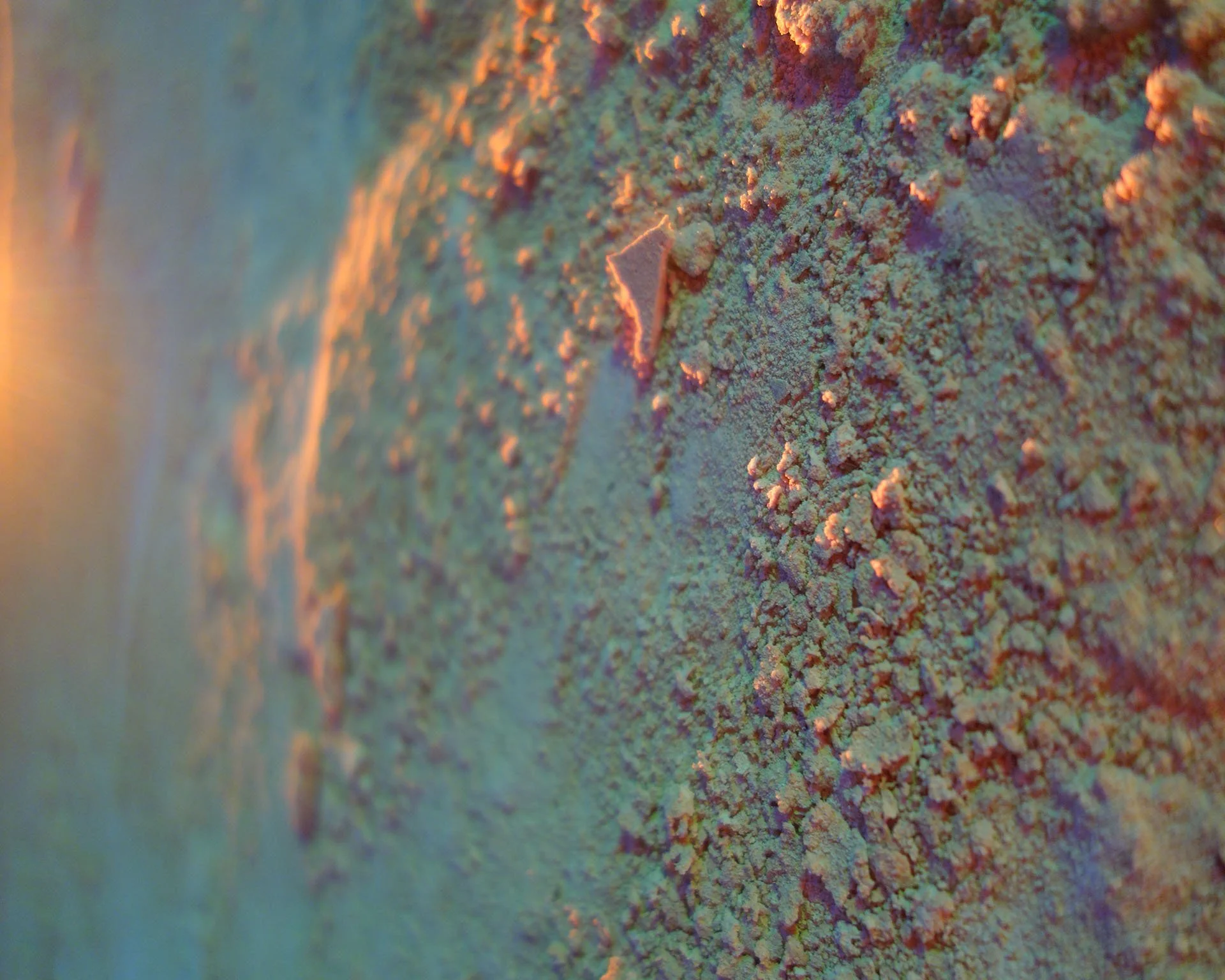 SEPTEMBER MOON #38