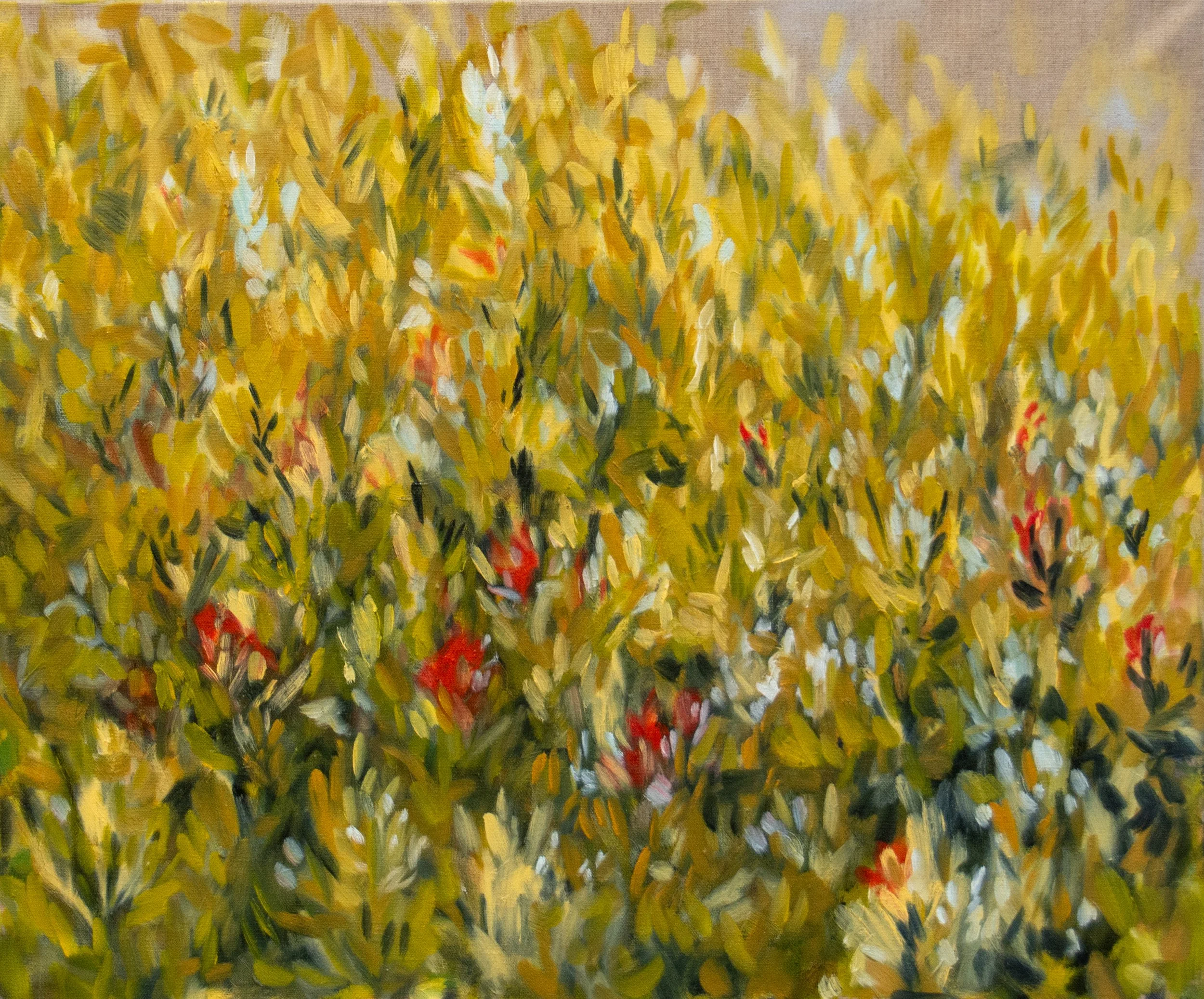 Wildgrass II