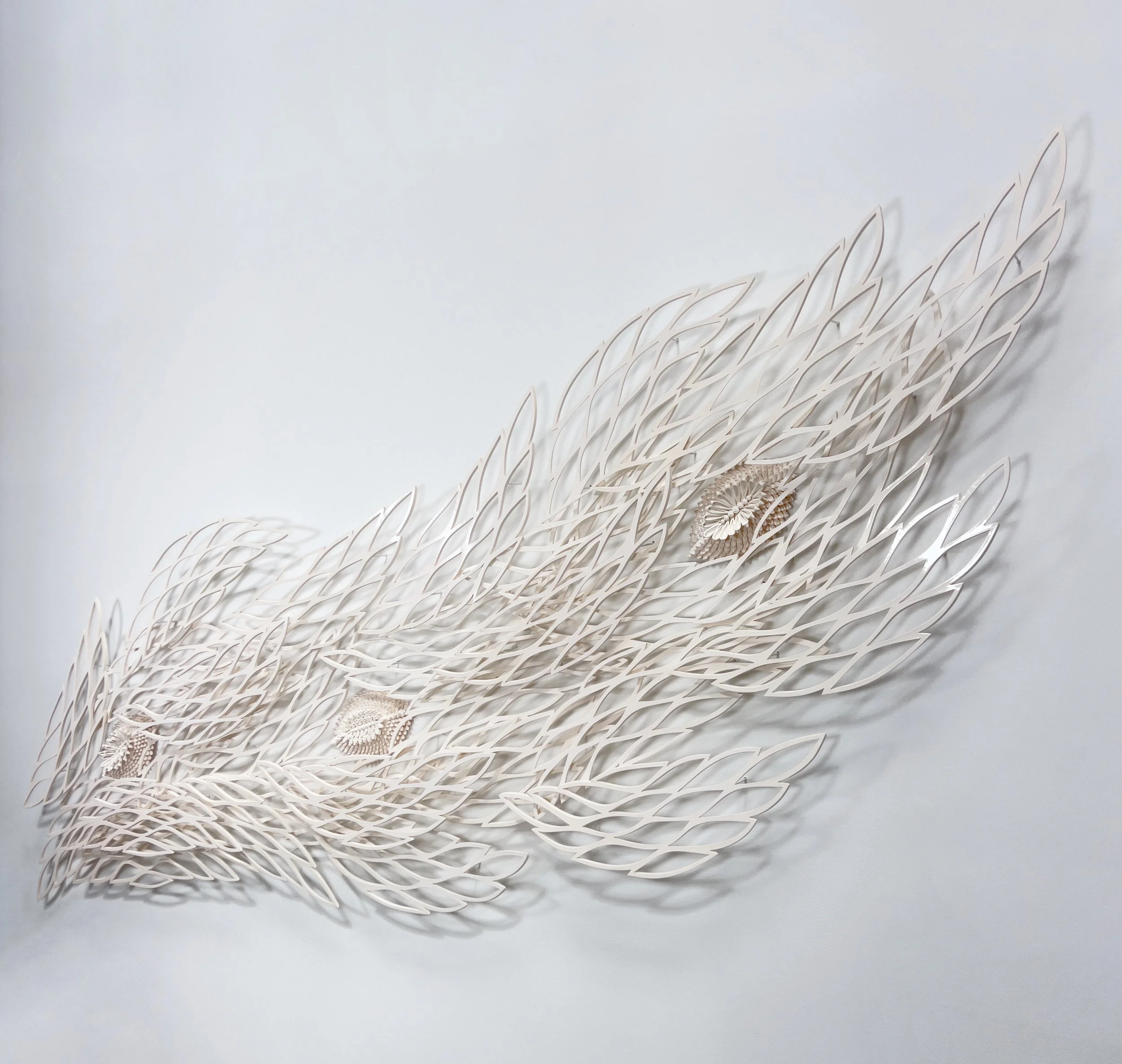 Pluma