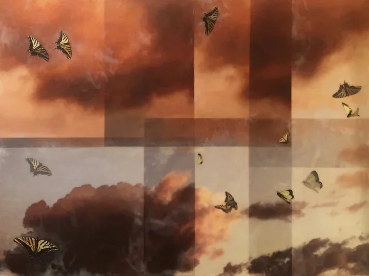 State of the Breath   encaustic photography on board  30x40  $2,800  Katie Kindle