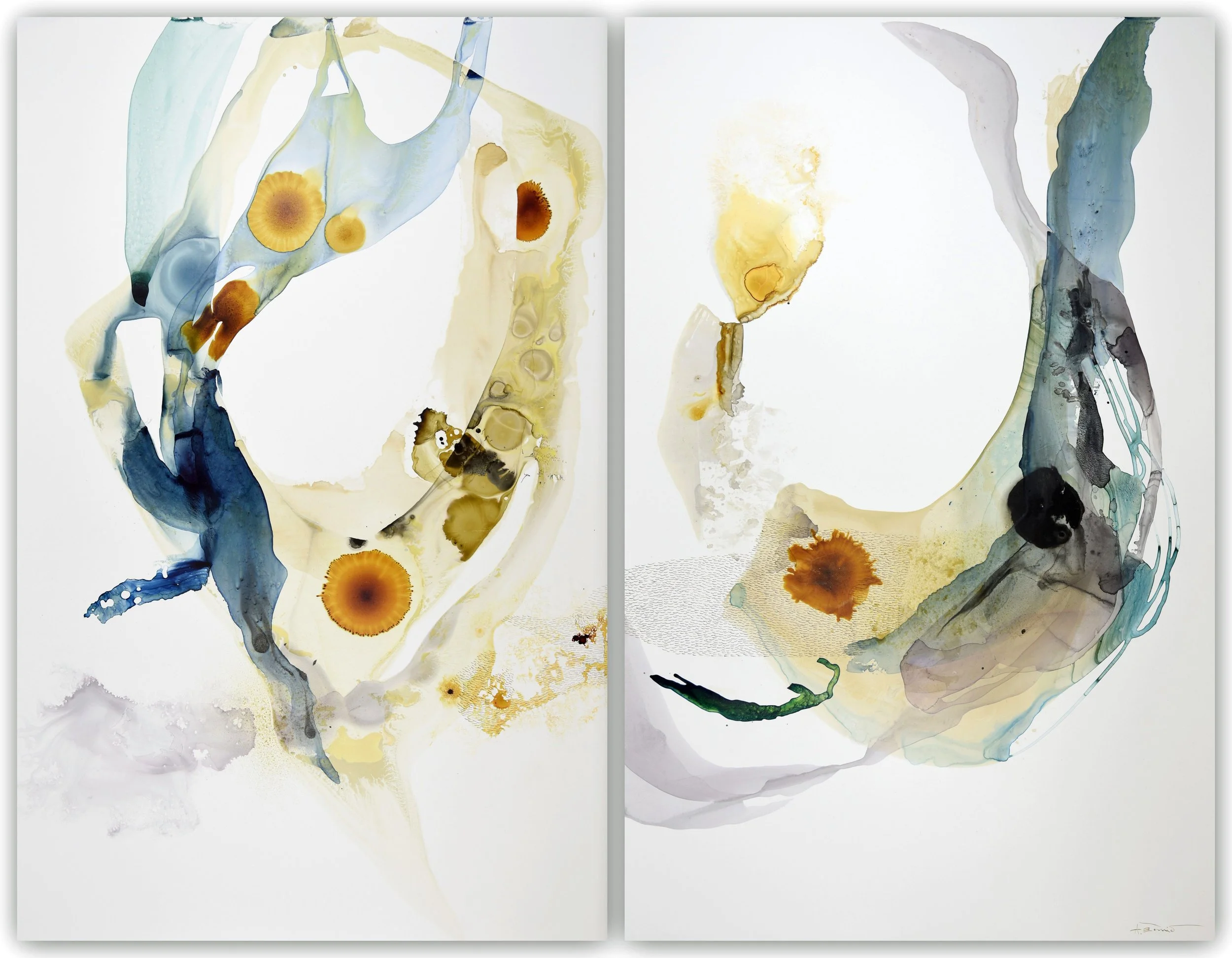 Origin Aqueous Diptych (W-2024-12-1-2) 40x53, watercolor on yupo.jpeg