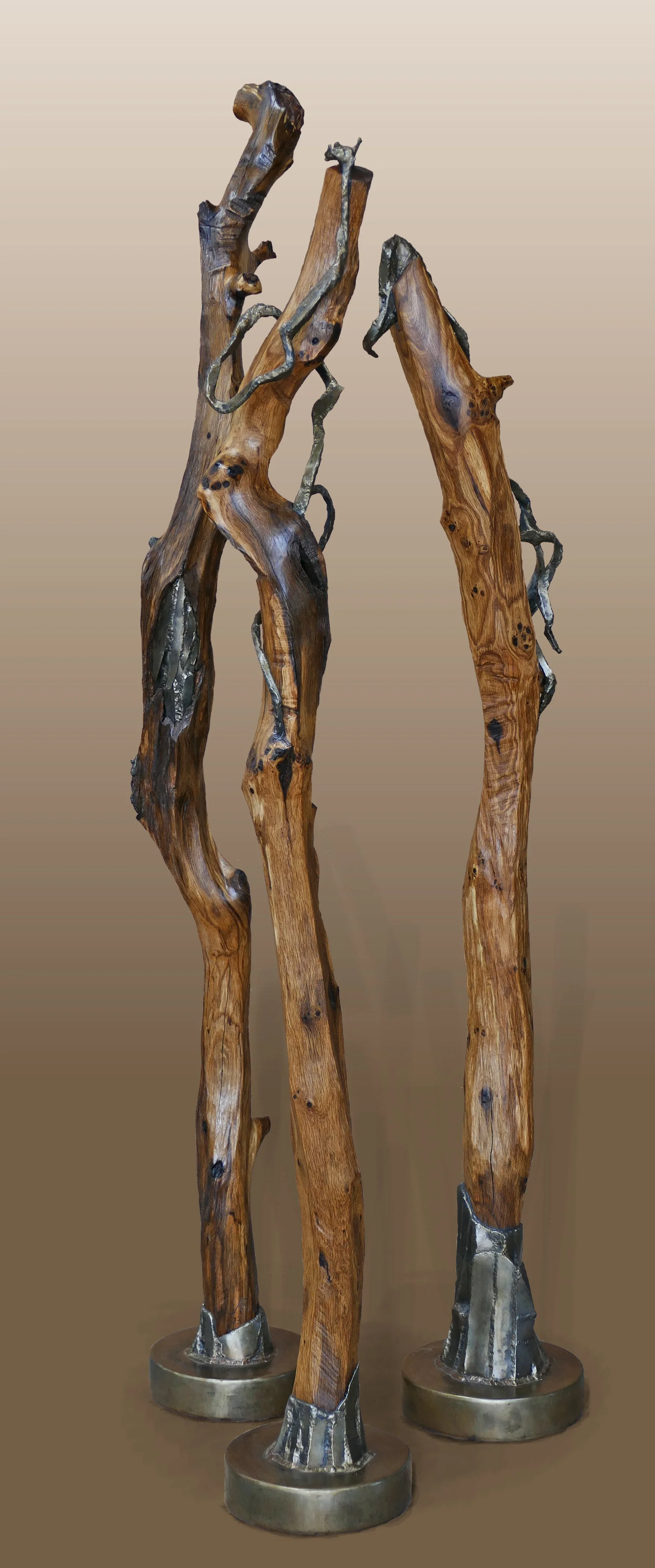 Dancing in the Wildwood Deep.jpg