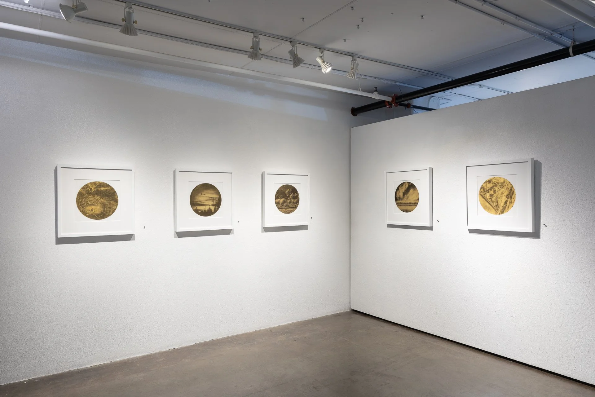 28_Walker_April 03, 2026.jpg