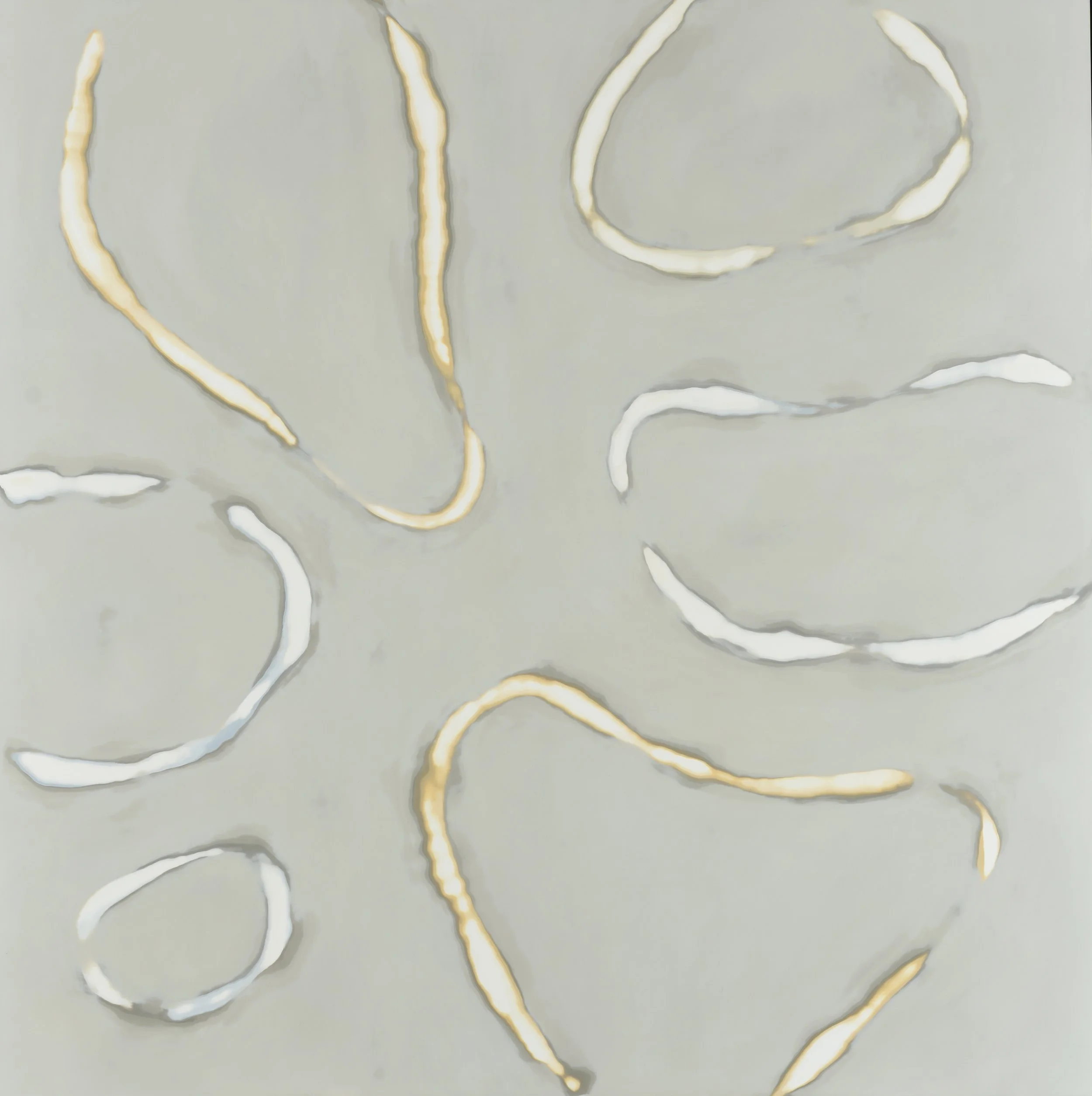 Reveal 596 Tints and Shades of White