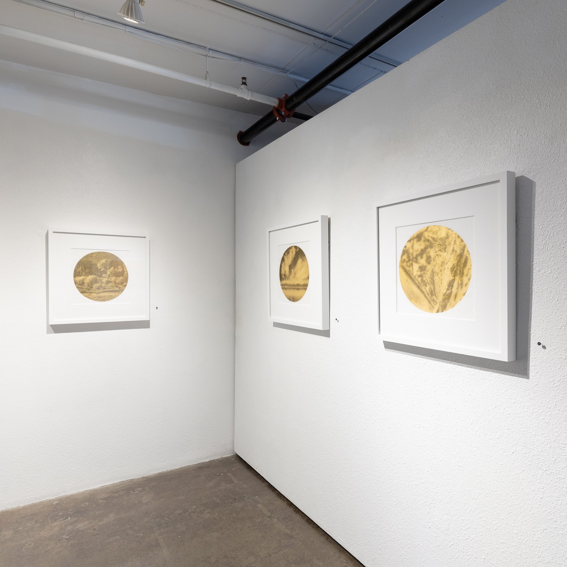 32_Walker_April 03, 2026.jpg