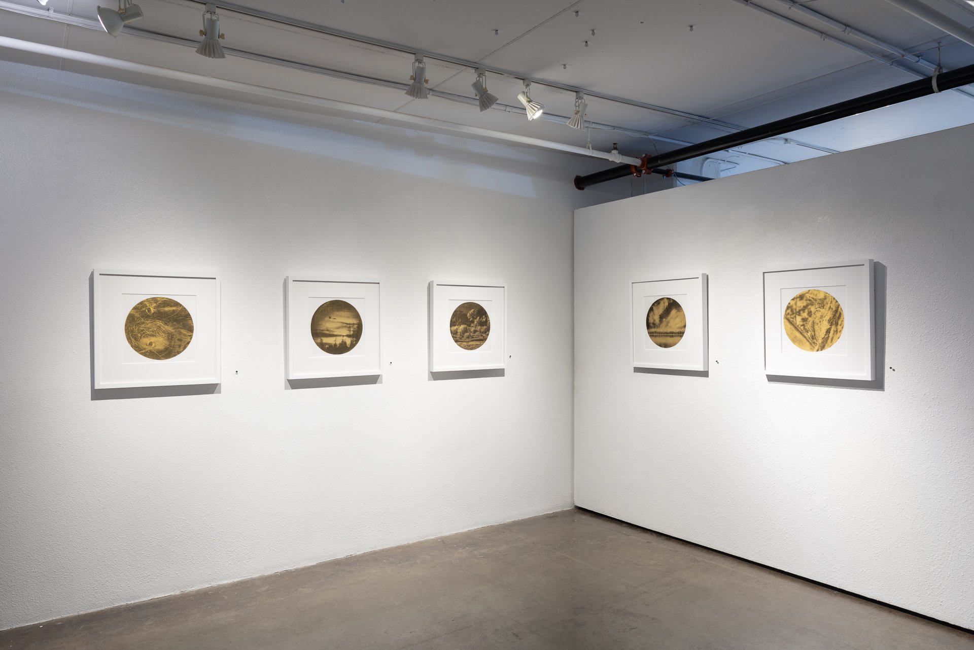 28_Walker_April 03, 2026.jpg