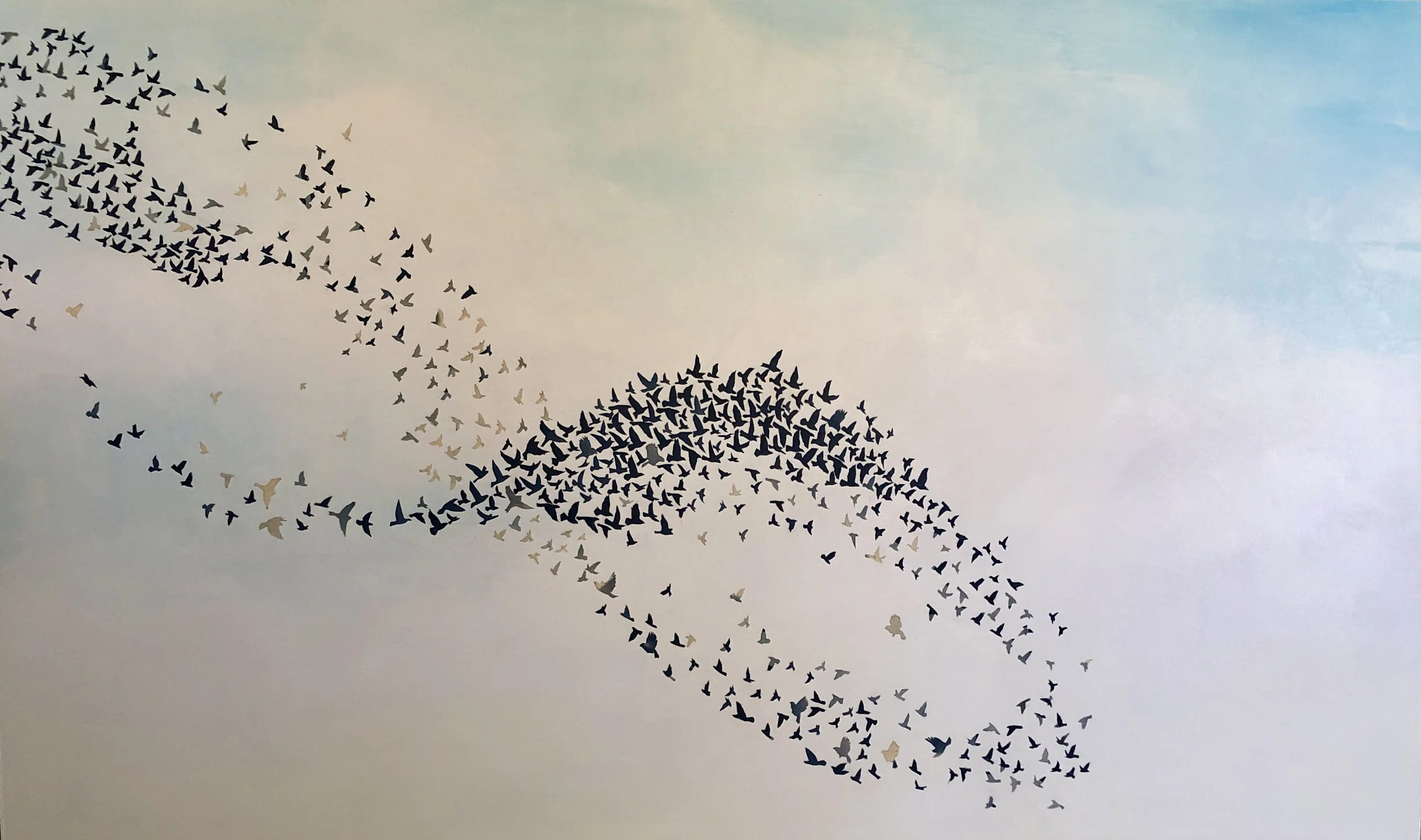 Murmuration Series