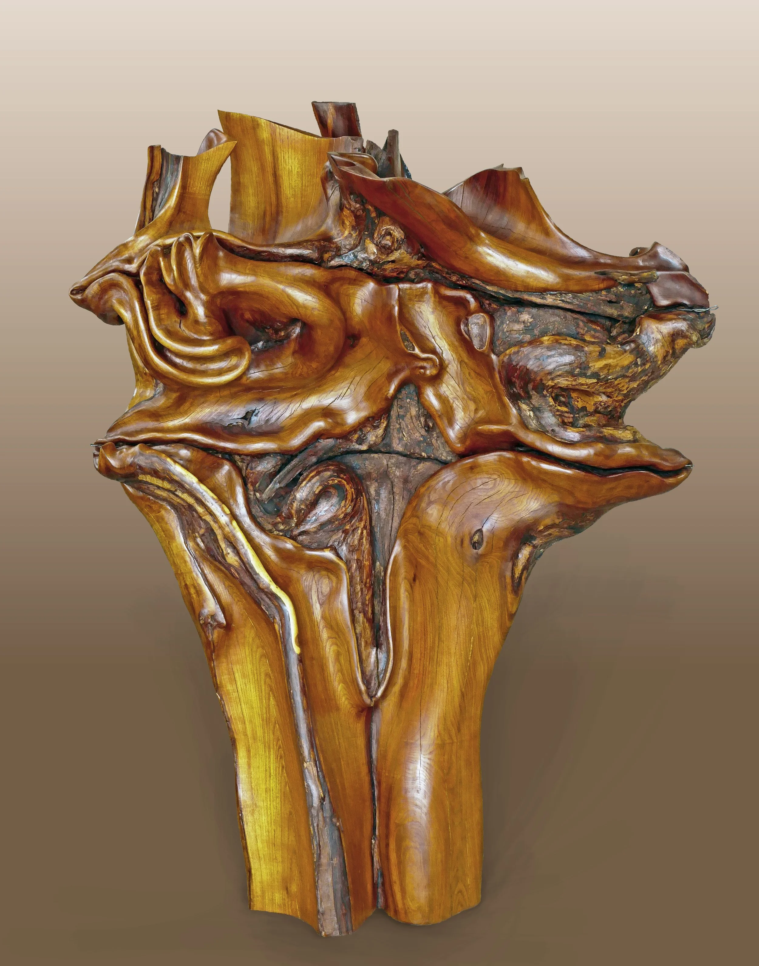 Epp_MotherTree Fenceline Conversation_55x41x28_Osage Orange,steel.jpg