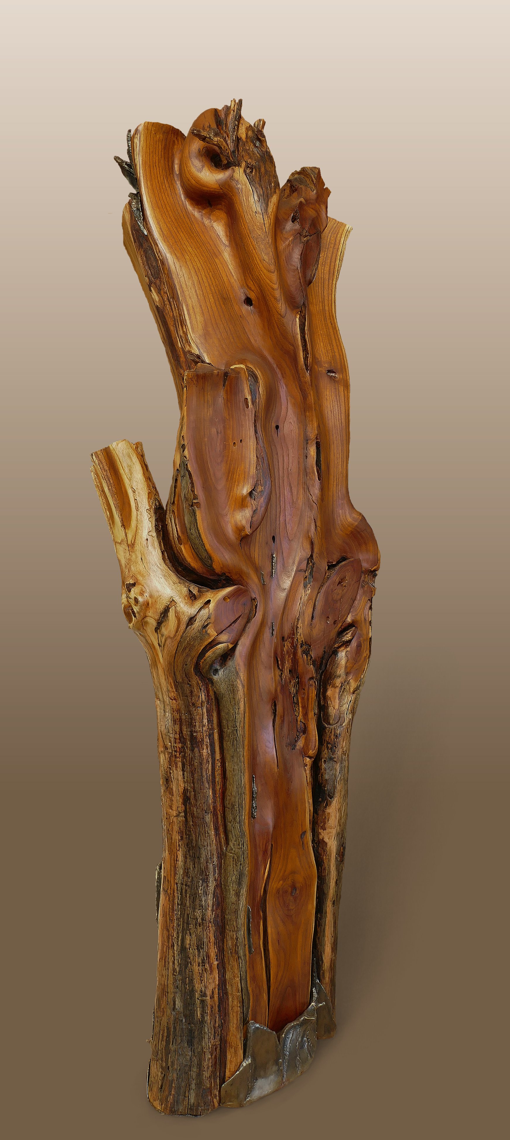 Epp_Osage Mother Tree Soliloquy_65x23x16_Wood, Steel.jpg